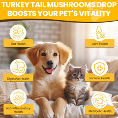 Jazytiko Turkey Tail for Dogs being added to food for digestive support.