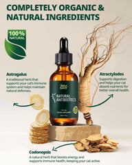 Jazzy Fuzzy Antibiotic Cat ingredient-panel highlights L-Lysine and herbal support.
