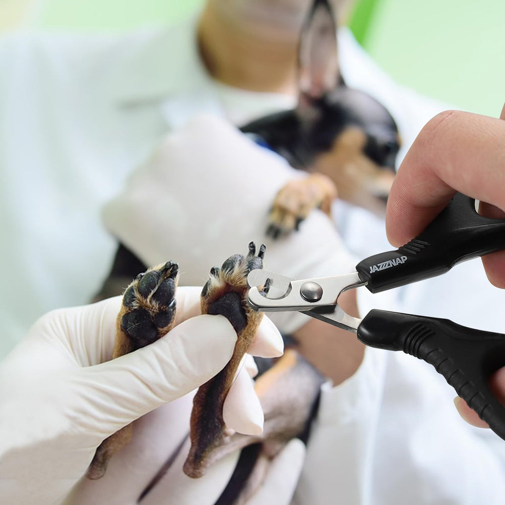 JAZZZNAP in-use clip demonstrates quick, at-home nail care.