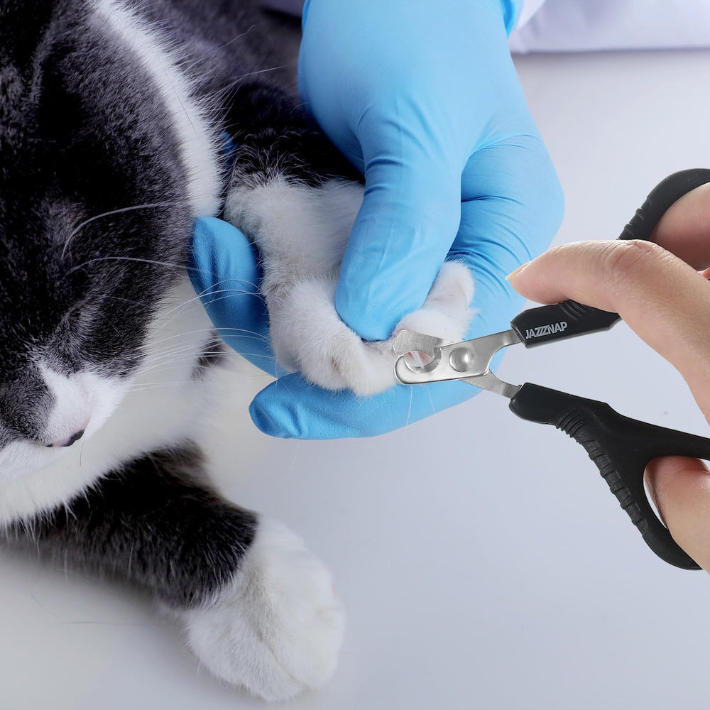 JAZZZNAP packaging image shows easy storage and ready-to-use grooming.