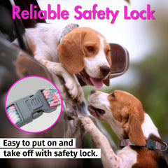 JC HOUSE pink dog collar showing adjustable strap for perfect fit