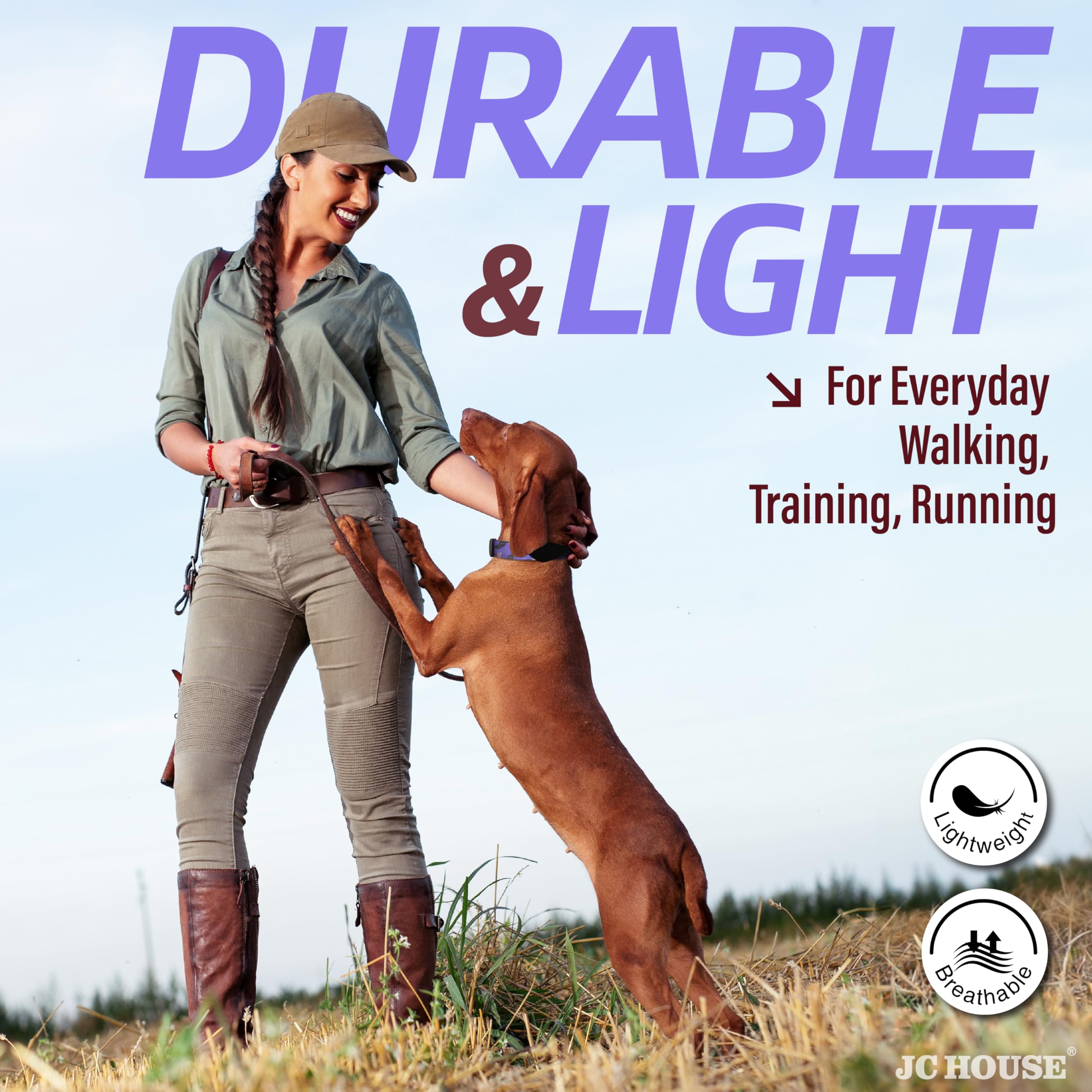 JC HOUSE collar neoprene padding supports gentle contact during walks