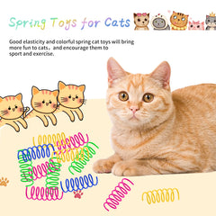 JCSHIMO cat spring toy cat chase action close-up