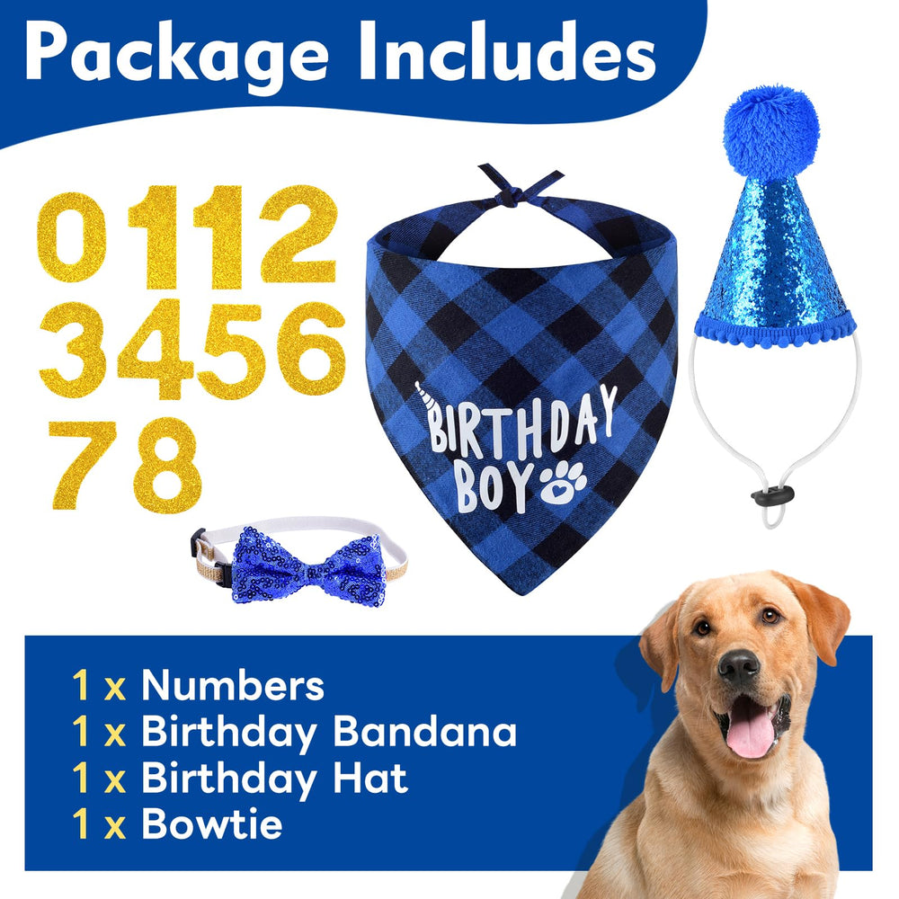 JCSHIMO birthday hat with number stickers to customize age.