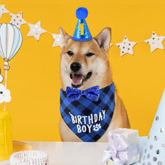 JCSHIMO dog birthday hat with numbers to customize age during celebrations.