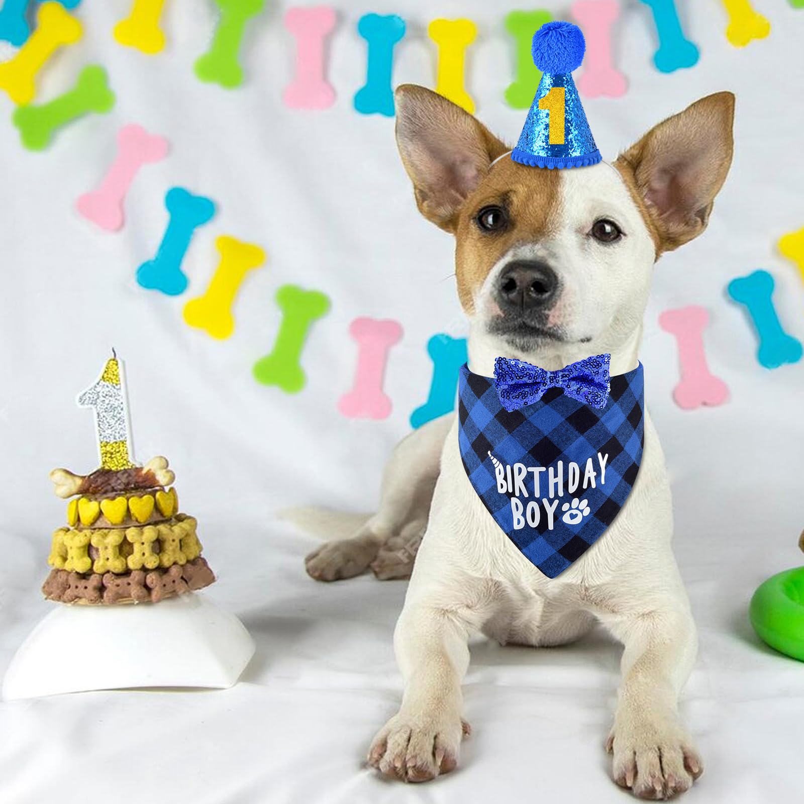 JCSHIMO complete party set enhances festive feel for pet celebrations.