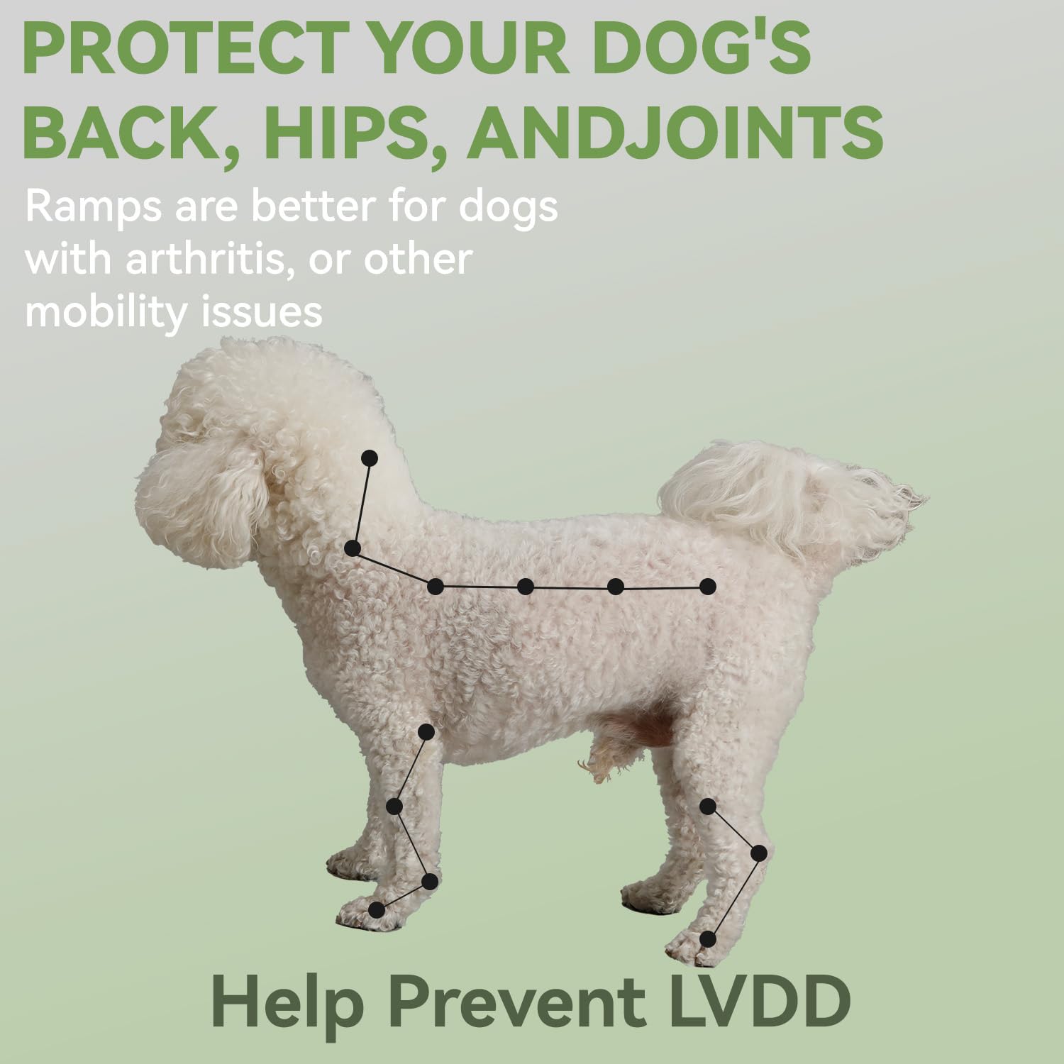 JDYEKYGF carrying handles for portable dog ramp