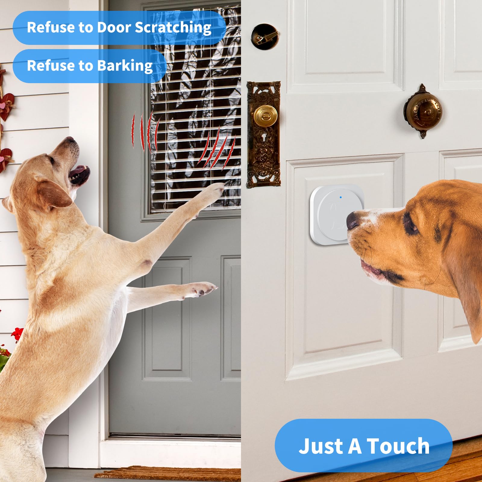 JeaTone two-pack white door bell for flexible training at multiple doors.