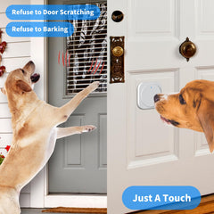 JeaTone two-pack white door bell for flexible training at multiple doors.