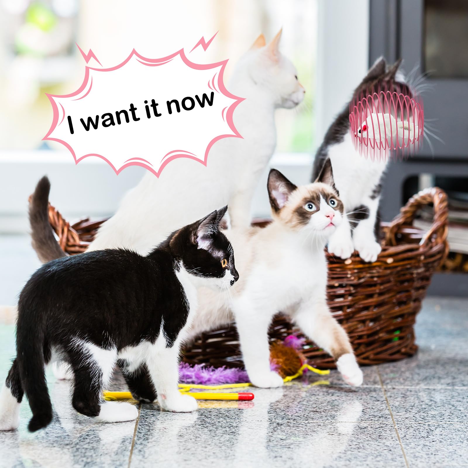 Jecery exercise-friendly spring ball image encouraging kitten movement and healthier activity.