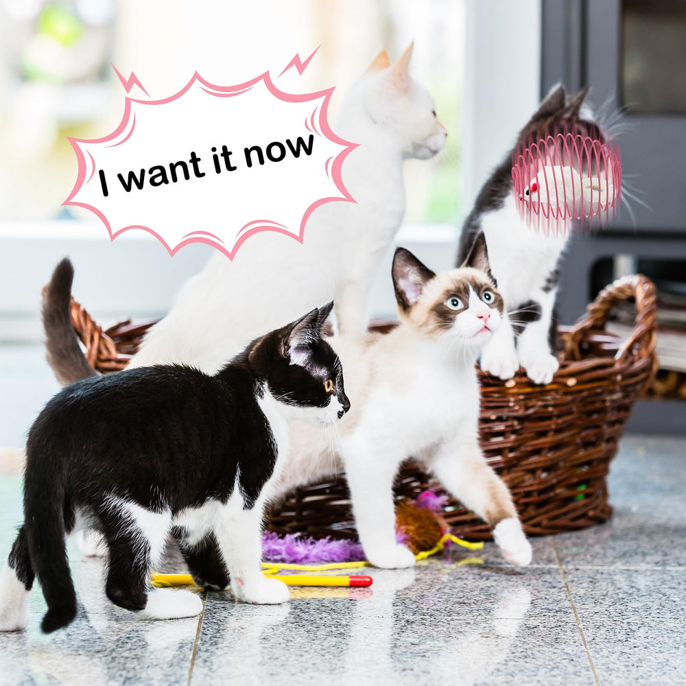 Jecery exercise-friendly spring ball image encouraging kitten movement and healthier activity.