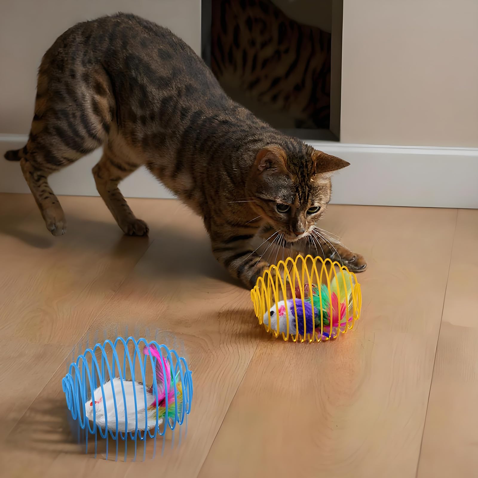 Jecery cat spring ball bright-colors shot highlights multi-color appeal for curious cats
