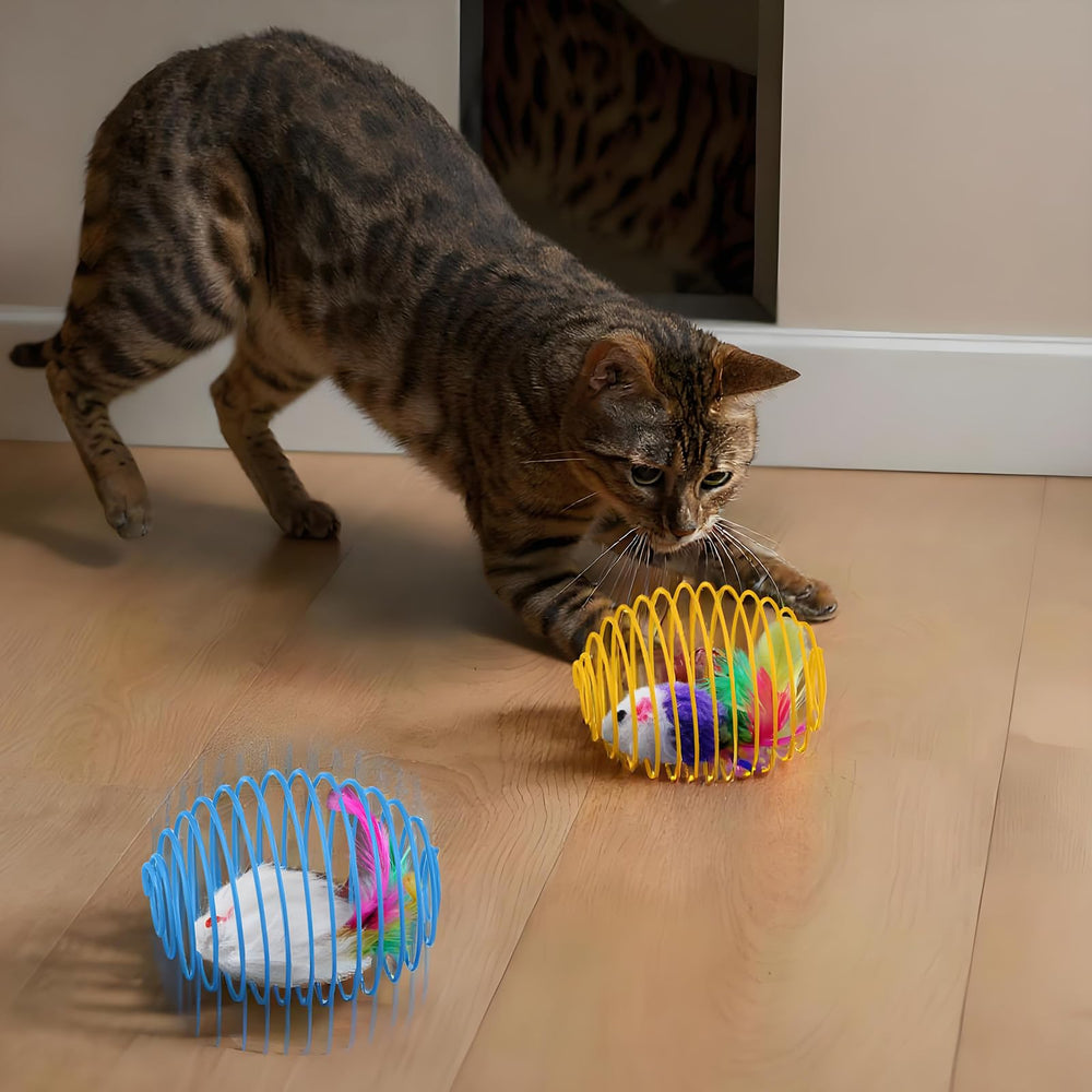 Jecery cat spring ball bright-colors shot highlights multi-color appeal for curious cats
