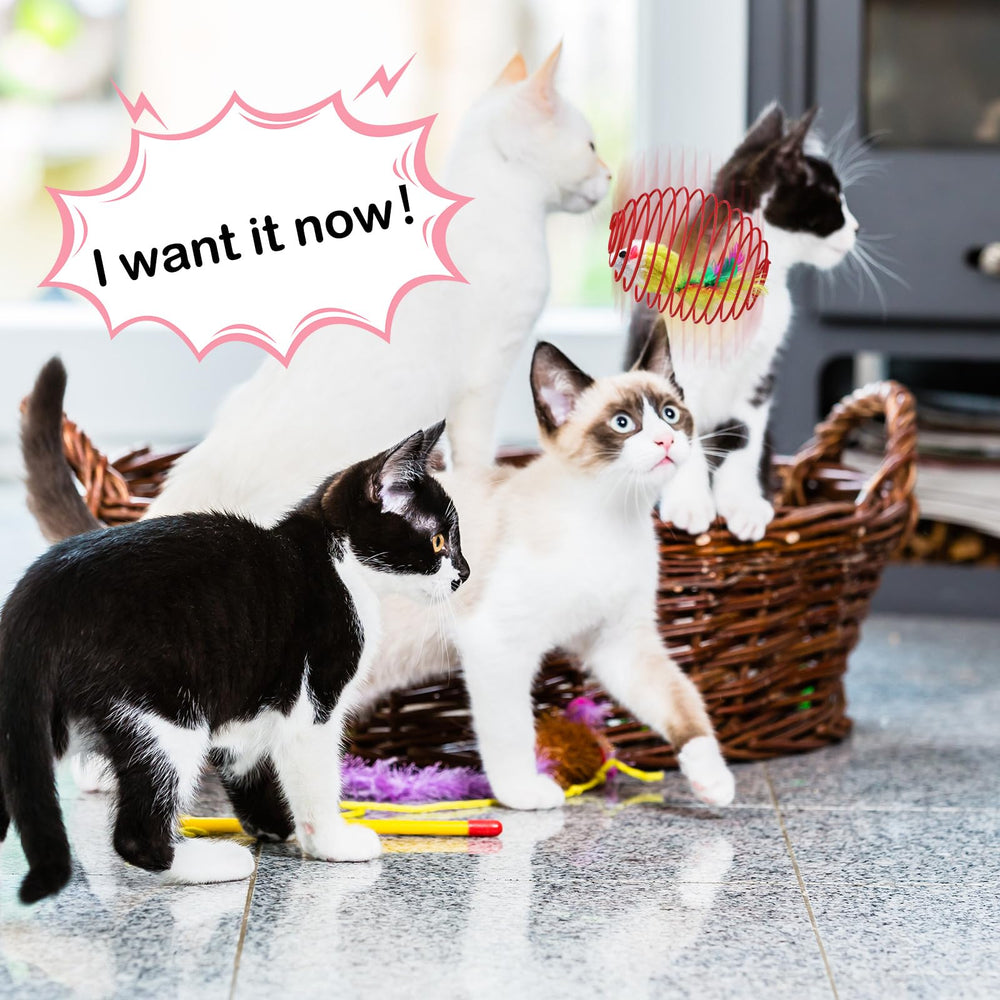 Jecery cat spring ball kitten playing image shows energetic exercise and healthy motion