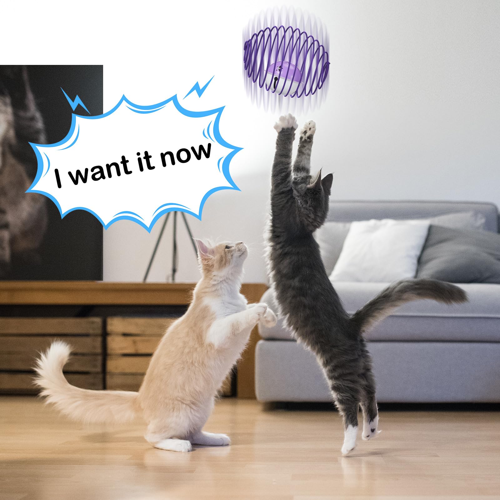 Jecery Halloween Cat Spring Balls elastic spring coil offers dynamic bounce during play sessions