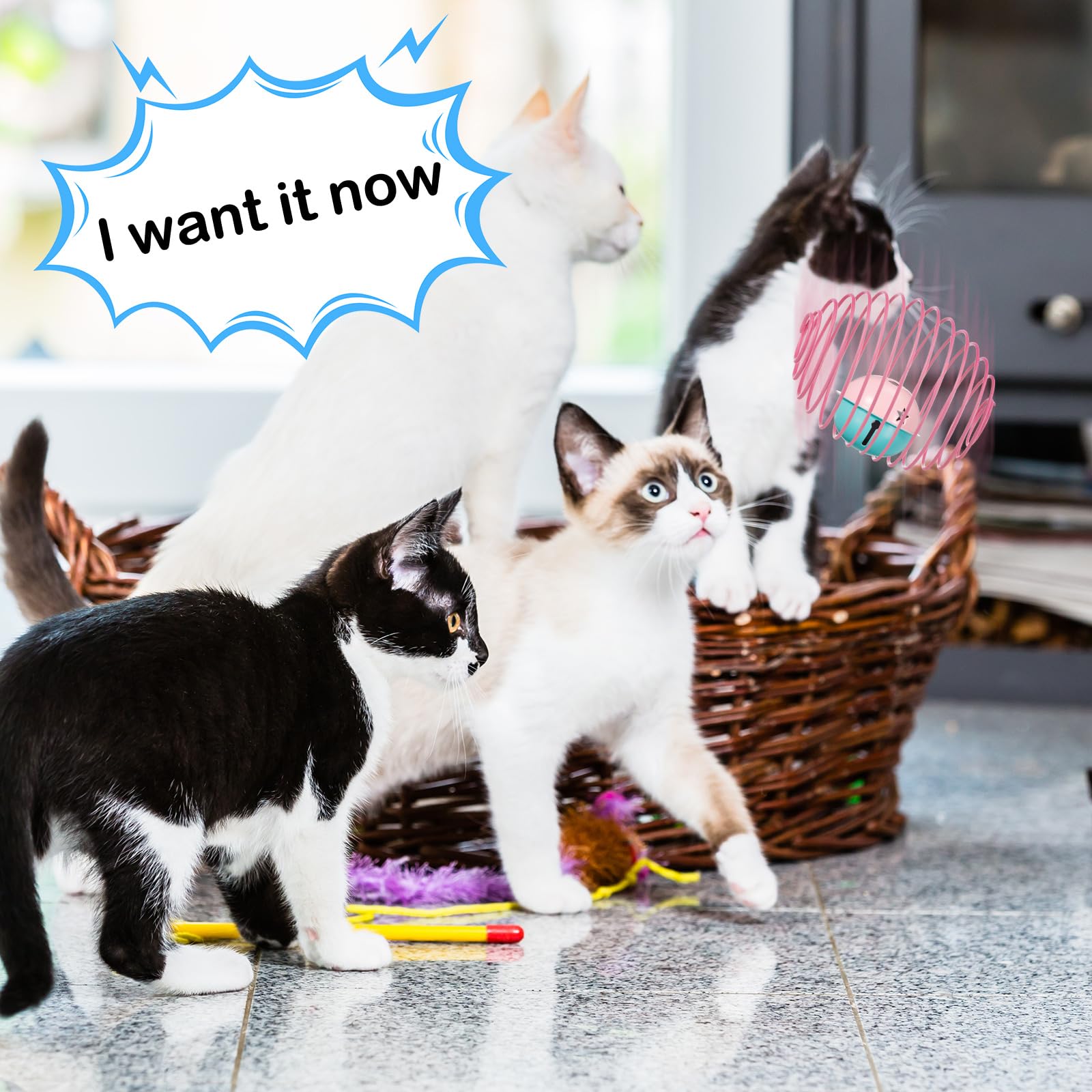 Jecery multicolor cat toy pack offers varied play options for cats.