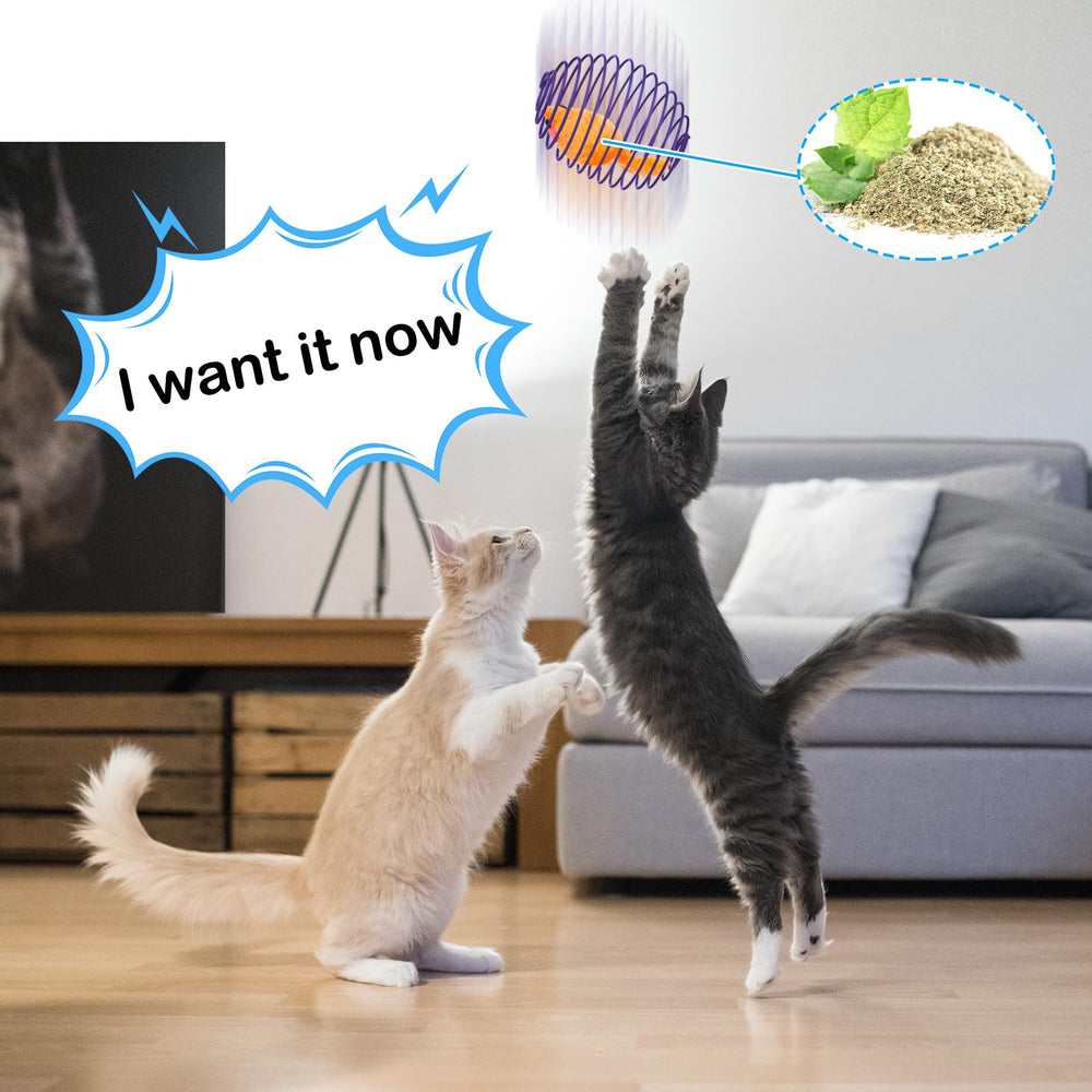 Jecery pet play set showcases durable plastic and plush materials.