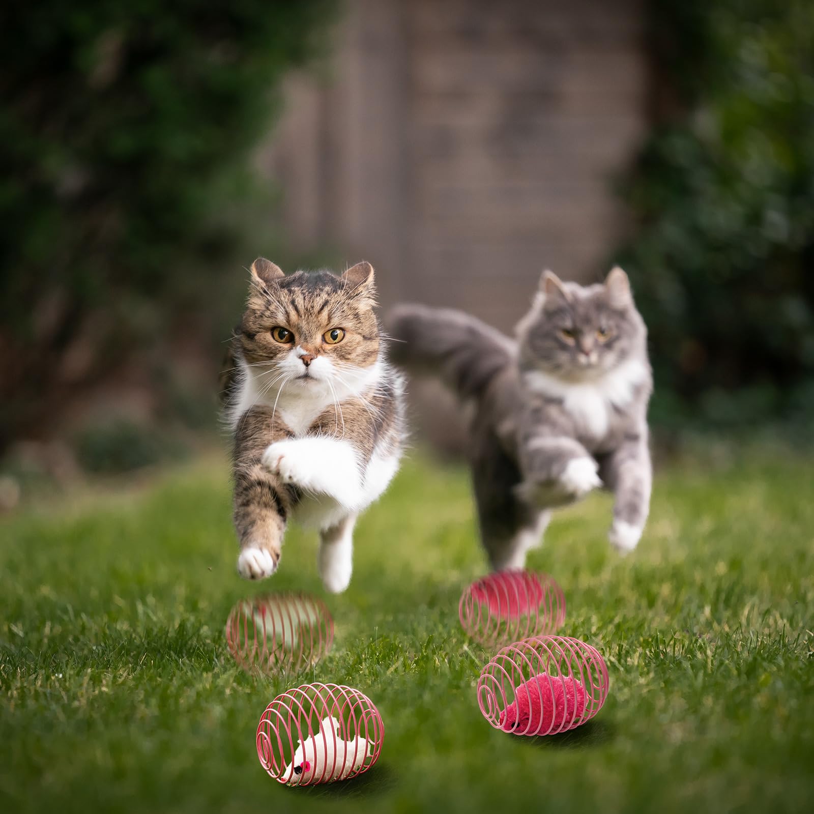 Jecery pink-themed packaging image highlights gift-ready set.