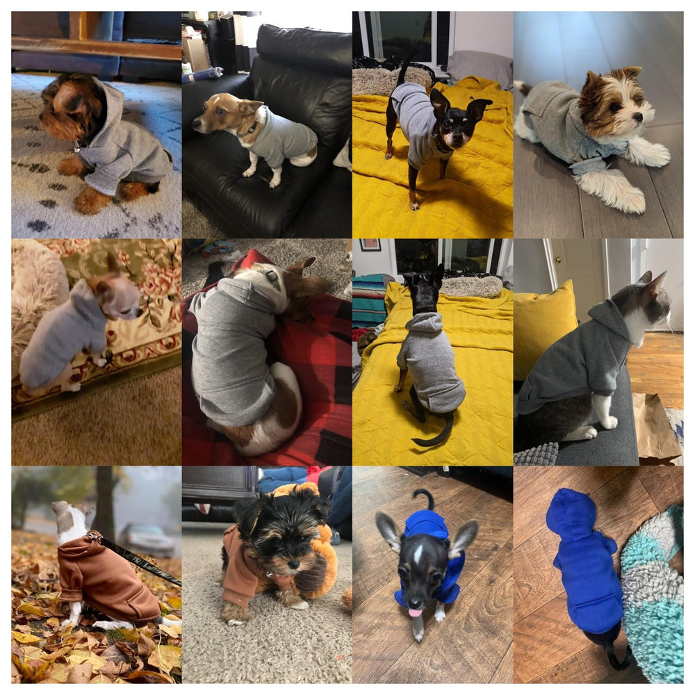 JECIKELON Chihuahua coat grey size chart helps pick the right fit