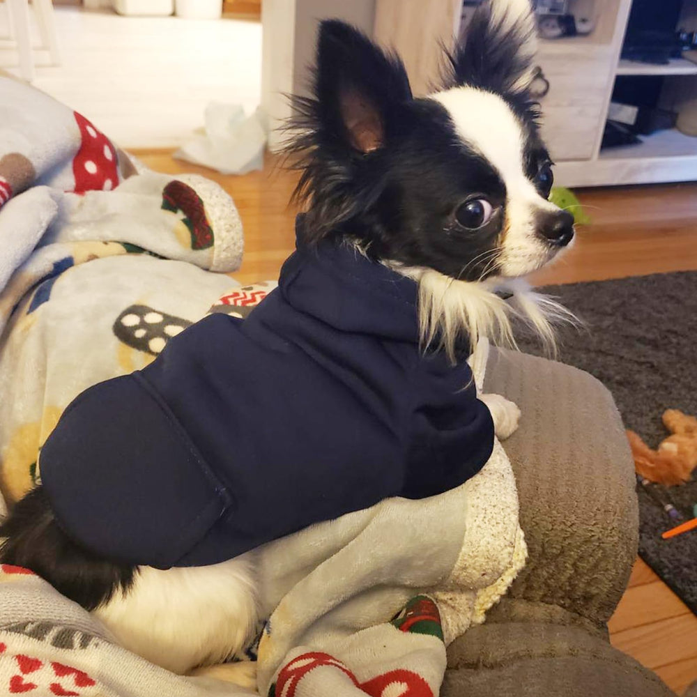JECIKELON Dog Hoodie Navy Small fabric closeup highlighting soft texture