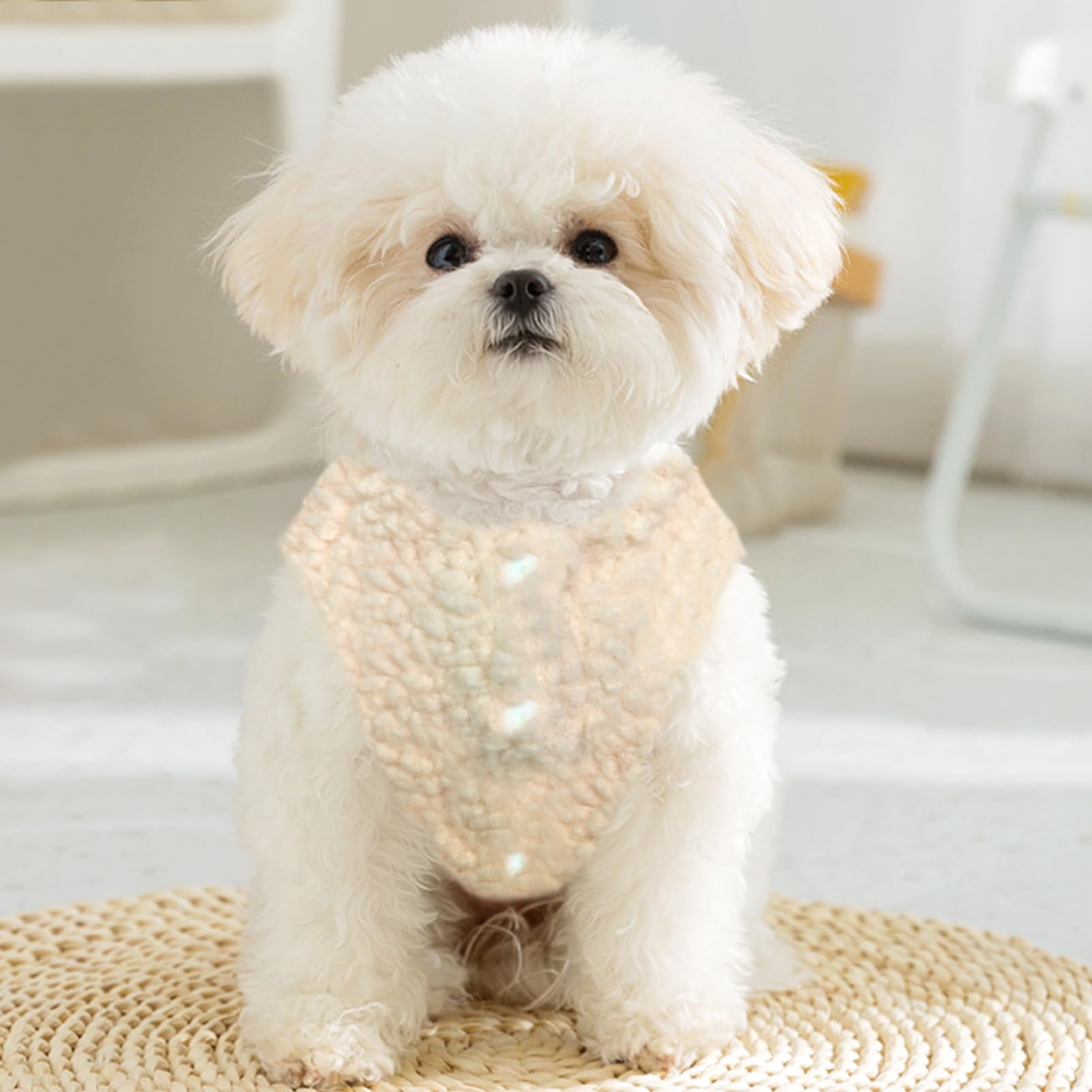 Jecikelon dog sweater back D-ring for easy leash attachment during walks