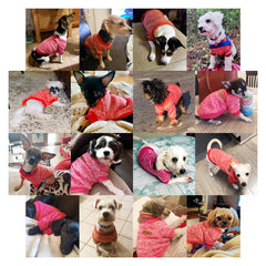 Jecikelon dog sweater color-palette displays vibrant hues for style.