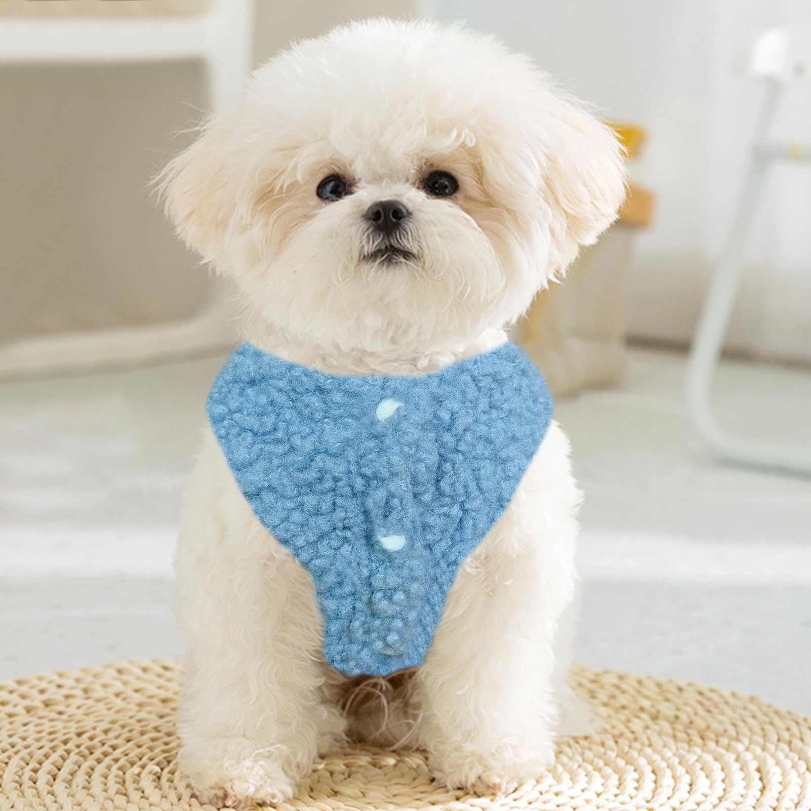 JECIKELON dog sweater dress blue bow detail highlights cute, stylish look