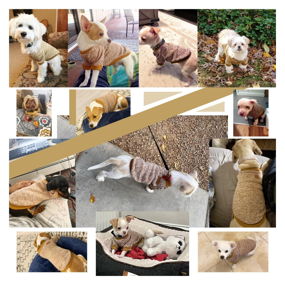 Jecikelon dog sweater size chart helps you pick the right fit.
