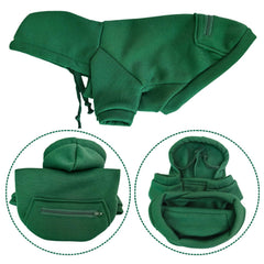 JECIKELON green coat worn by a small dog highlighting warmth for chilly days