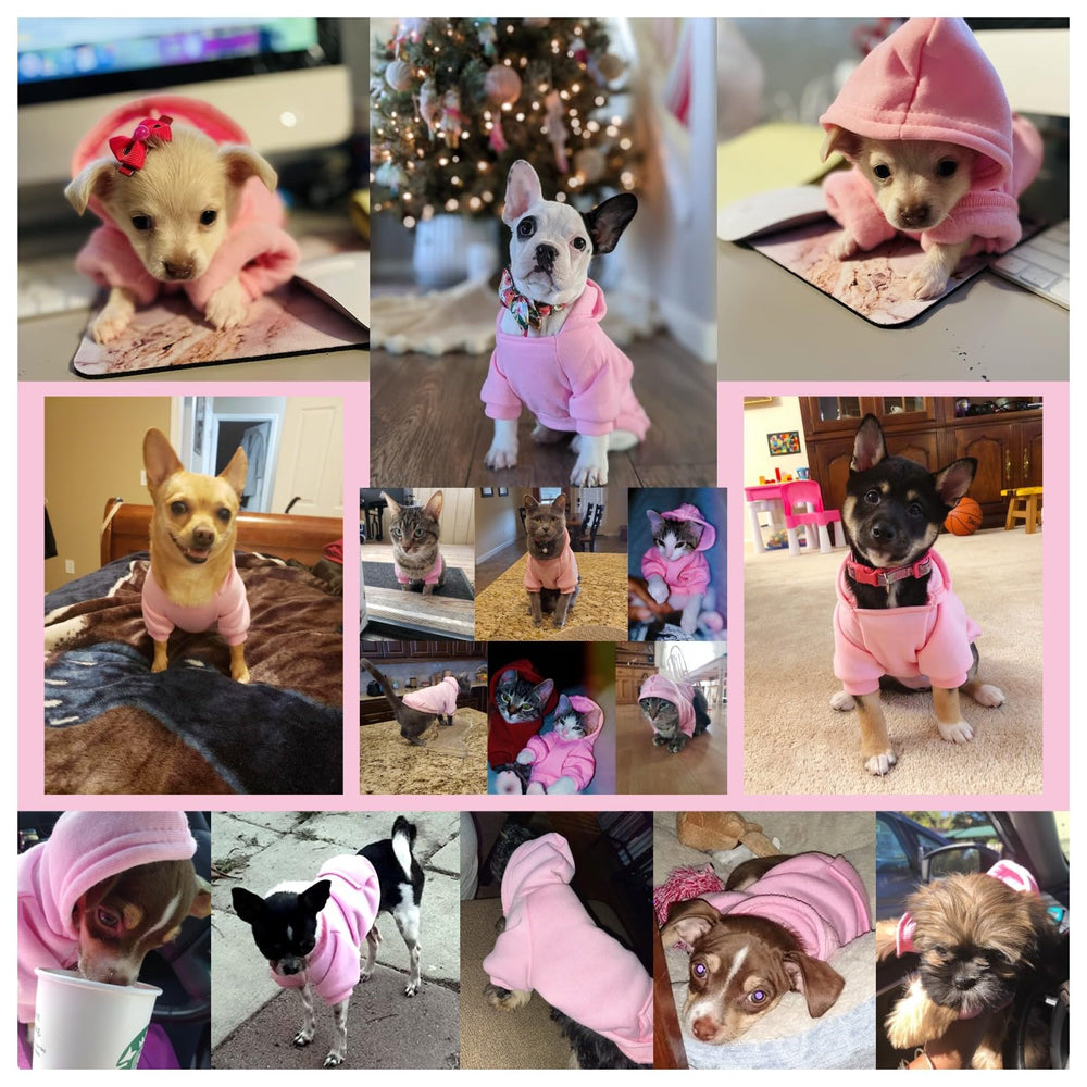 JECIKELON pink dog hoodie back view emphasizes classic style and warmth.