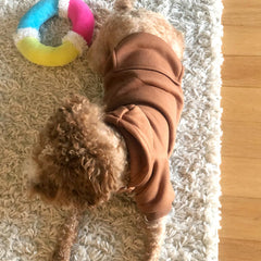 Jecikelon small dog coat in coffee color for everyday comfort and style.
