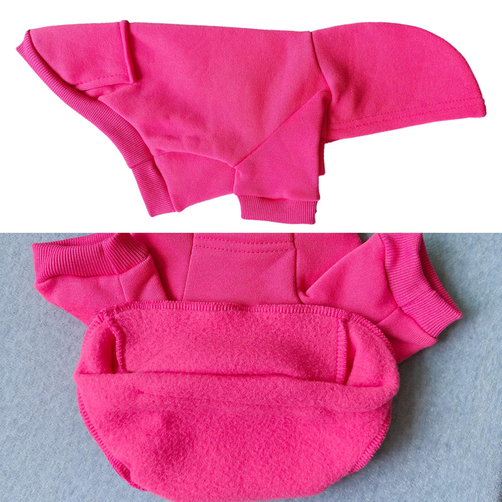 JECIKELON size guide image showing how to pick the right small dog hoodie