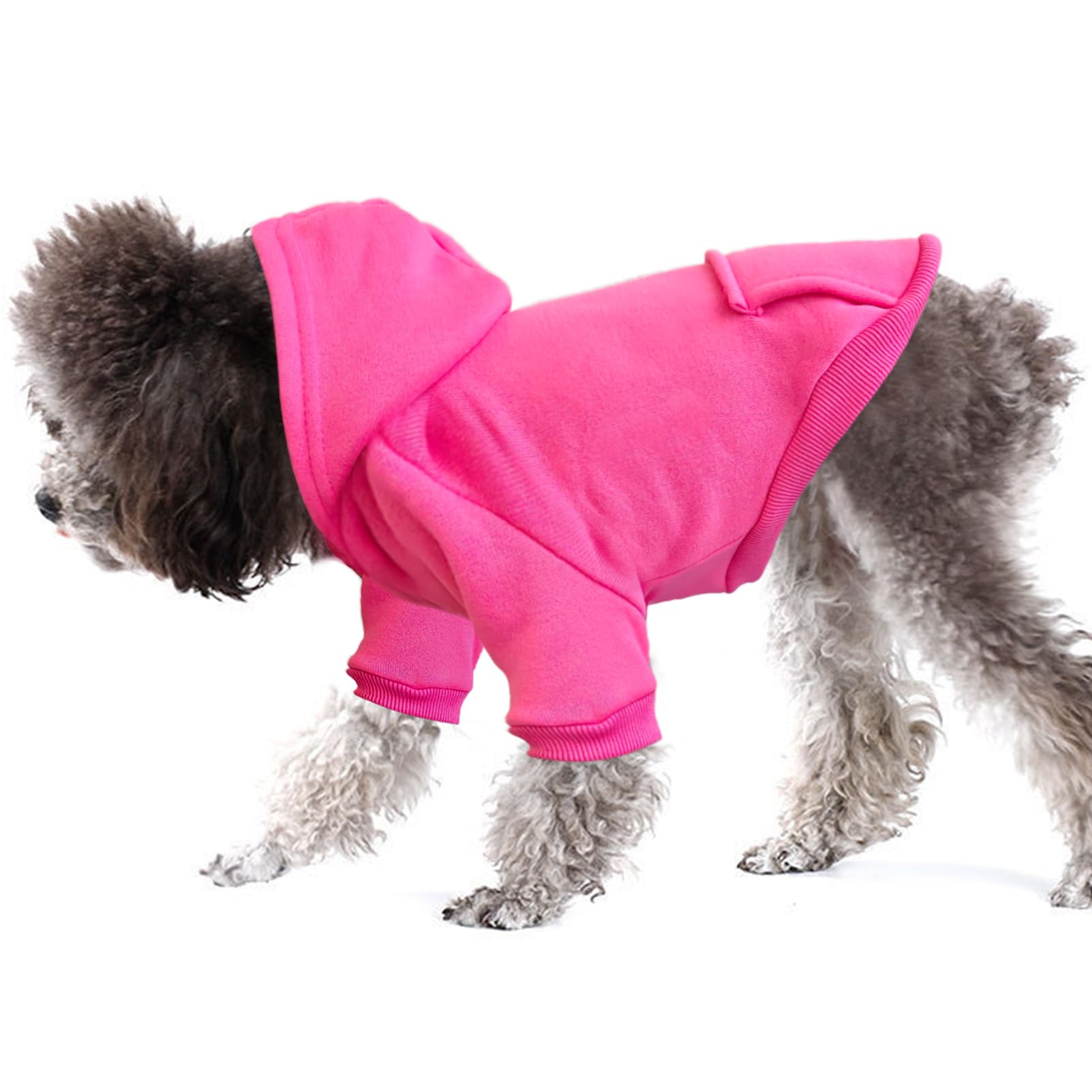 JECIKELON solid color hooded sweater worn by a small dog for warmth