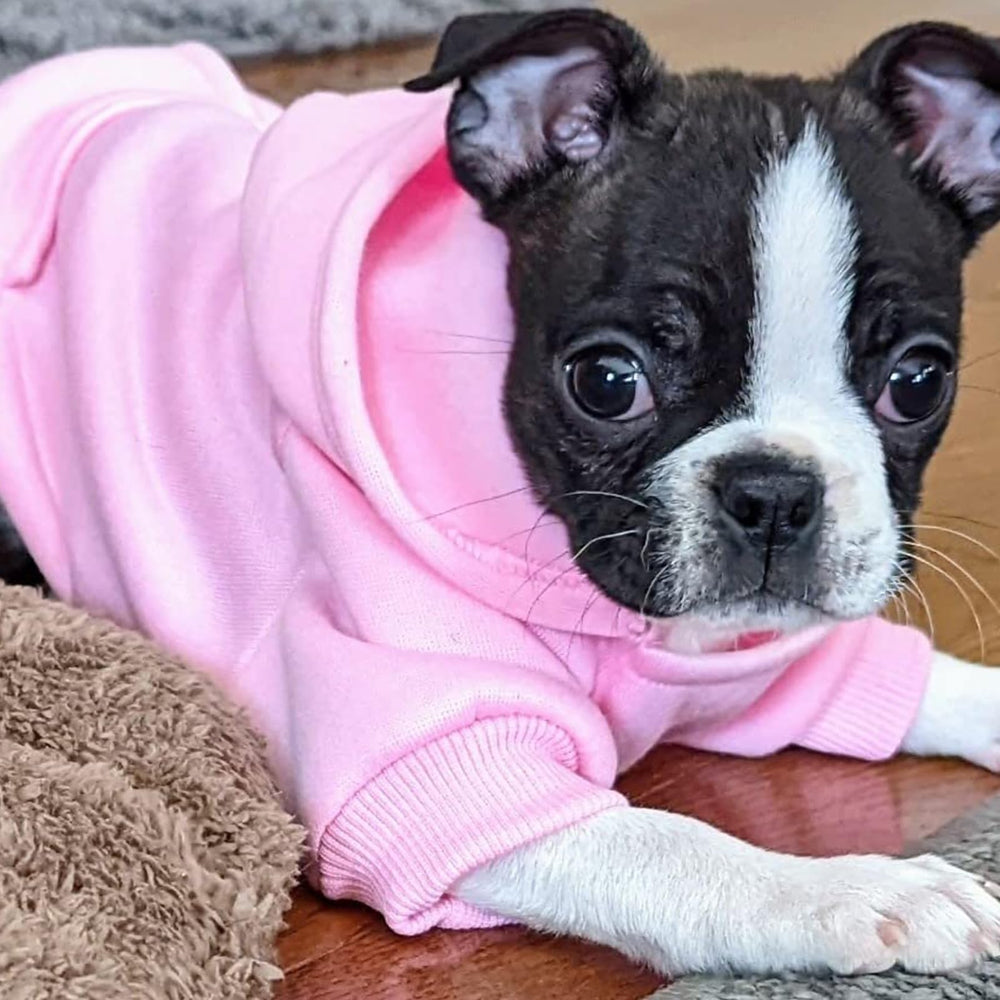 JECIKELON warm dog hoodie pockets front view aids storage during outings.