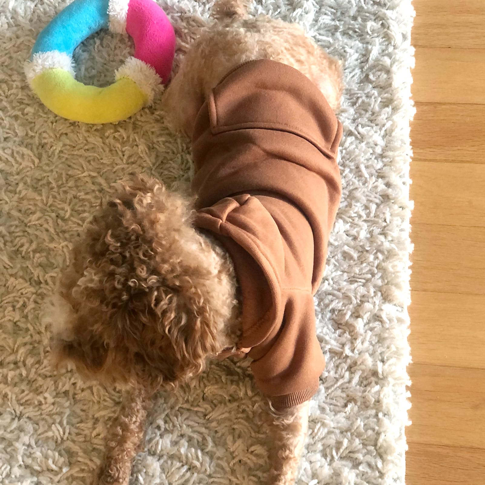 JECIKELON winter dog hoodie coffee, back view showcasing snug coverage