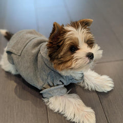 JECIKELON winter dog hoodie grey pockets shows convenient storage on walks
