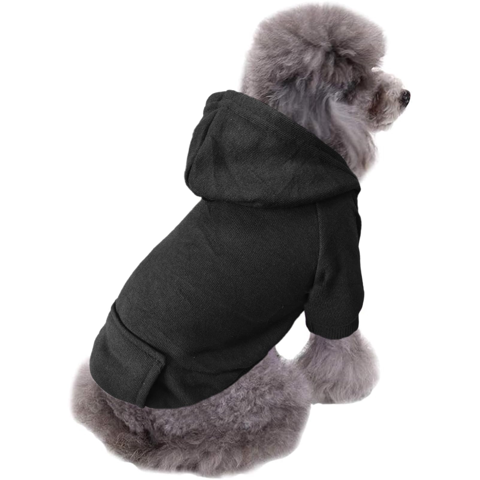 Jecikelon hoodie hood detail highlights full-coverage warmth for chilly walks.