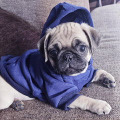 JECIKELON Winter Dog Hoodie Navy Small side view with convenient pockets