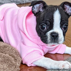 JECIKELON pink small hoodie side view shows comfortable fit for tiny breeds