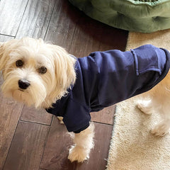 JECIKELON winter dog hoodie pocket-detail demonstrates practical pockets for small items or treats