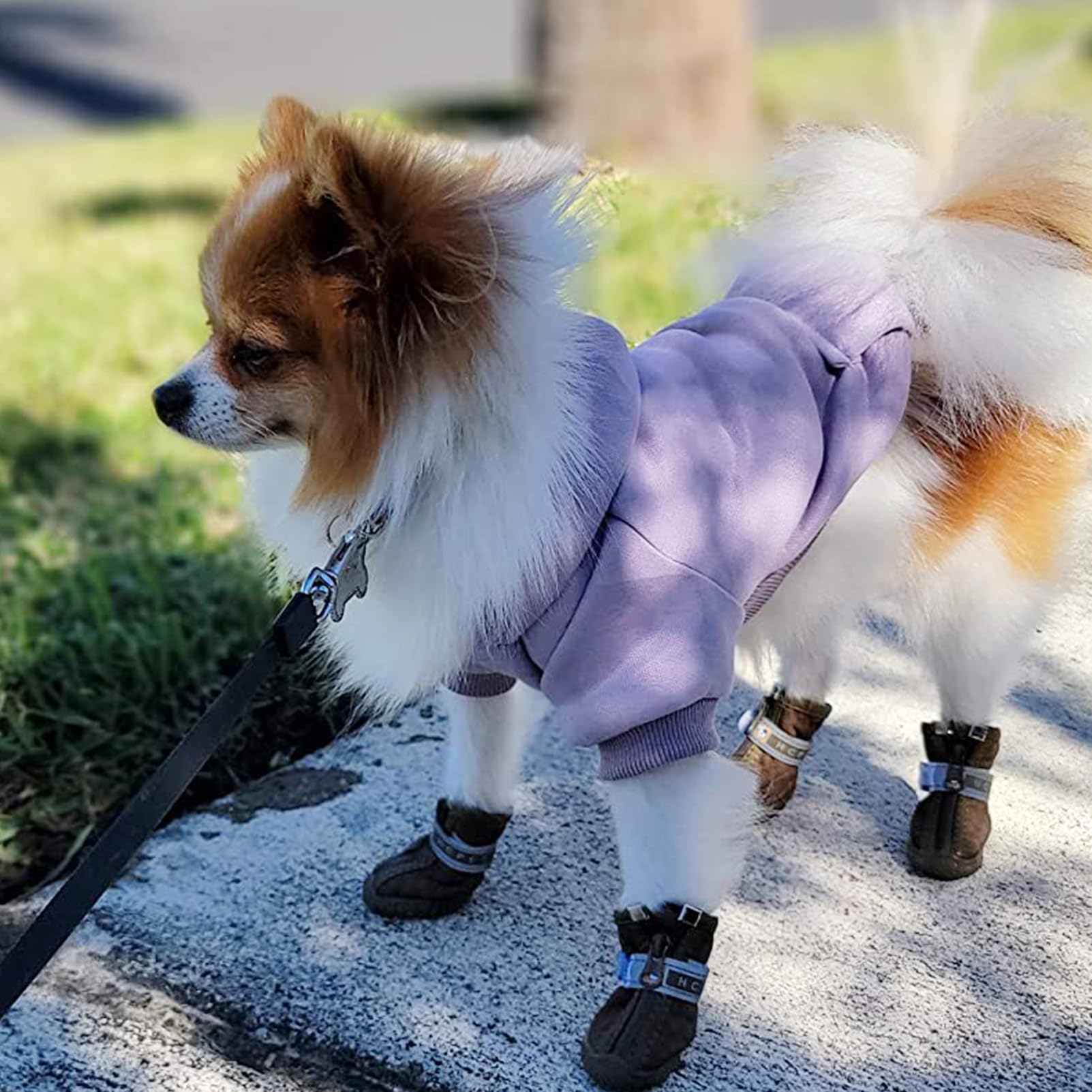 JECIKELON winter dog hoodie purple small back view with snug hood