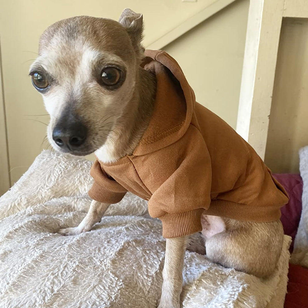 JECIKELON winter dog hoodie size chart, clear guidance for selecting the right fit