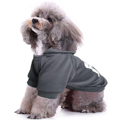 Jecikelon small dog model wearing hoodie during park stroll for warmth