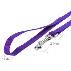 Jeckpat 10ft purple dog leash on harness during training in the park.