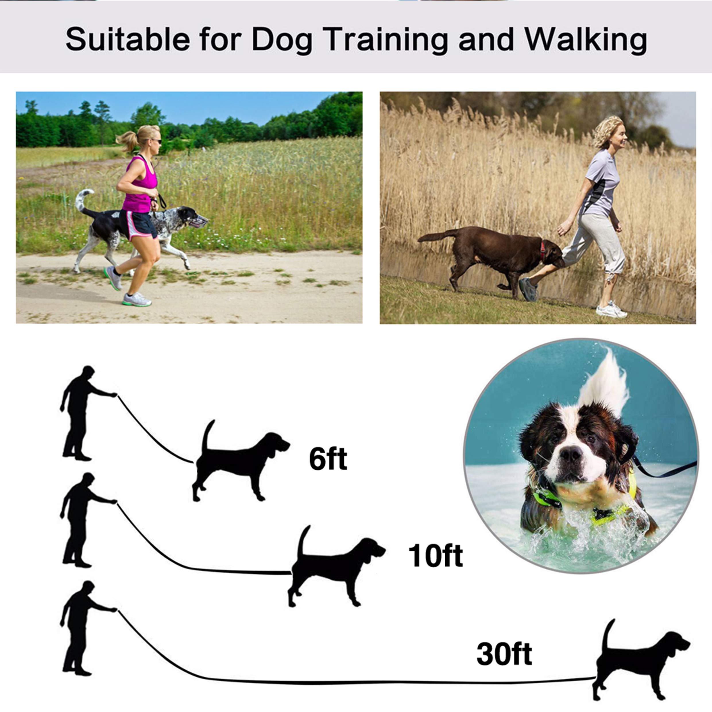 Jeckpat 10ft purple dog leash features soft edges to reduce chafing.