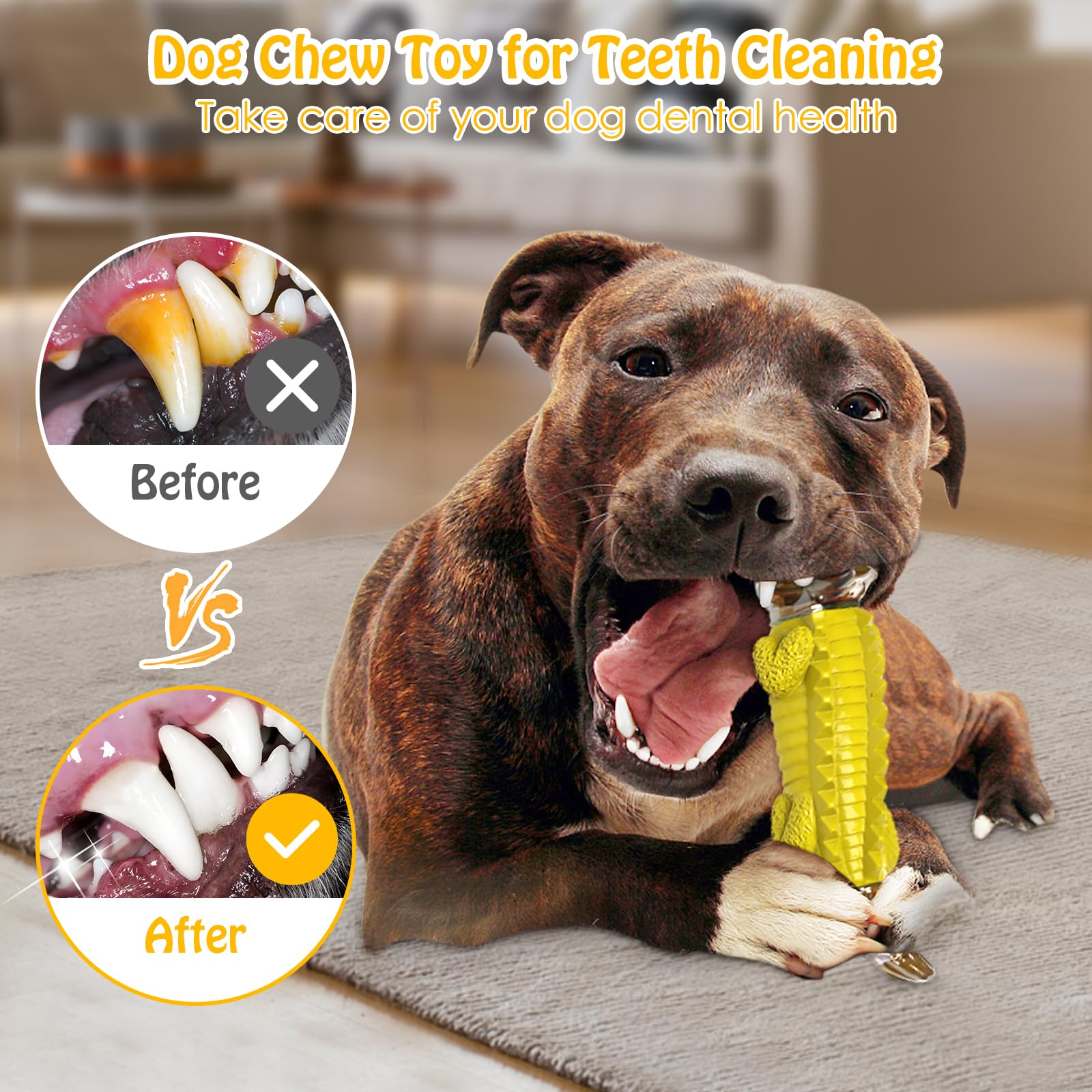 Jeefome canine-gift-dog-toy makes a joyful gift for a pet.