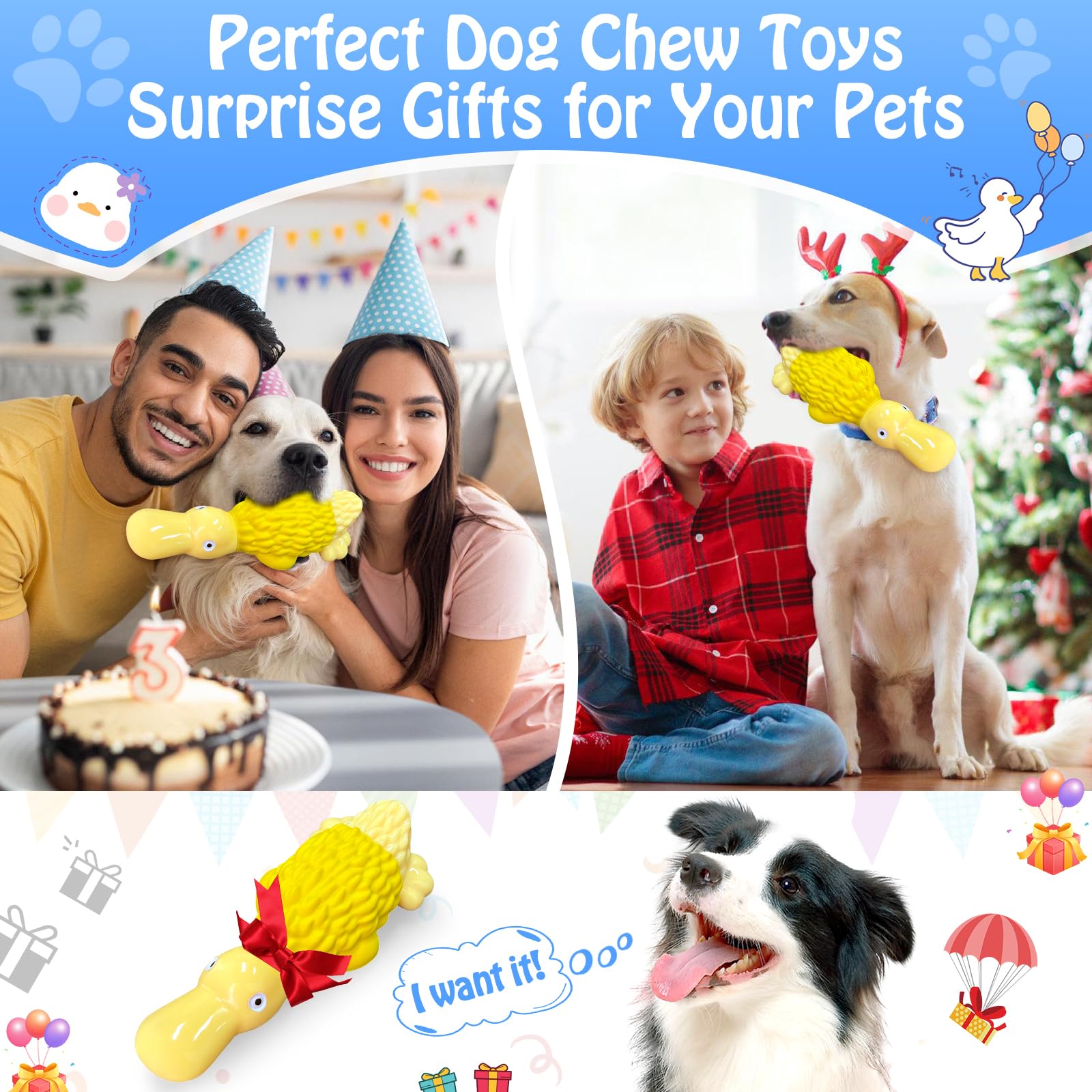 Jeefome duck-toy playtime scene suggests interactive bonding during training