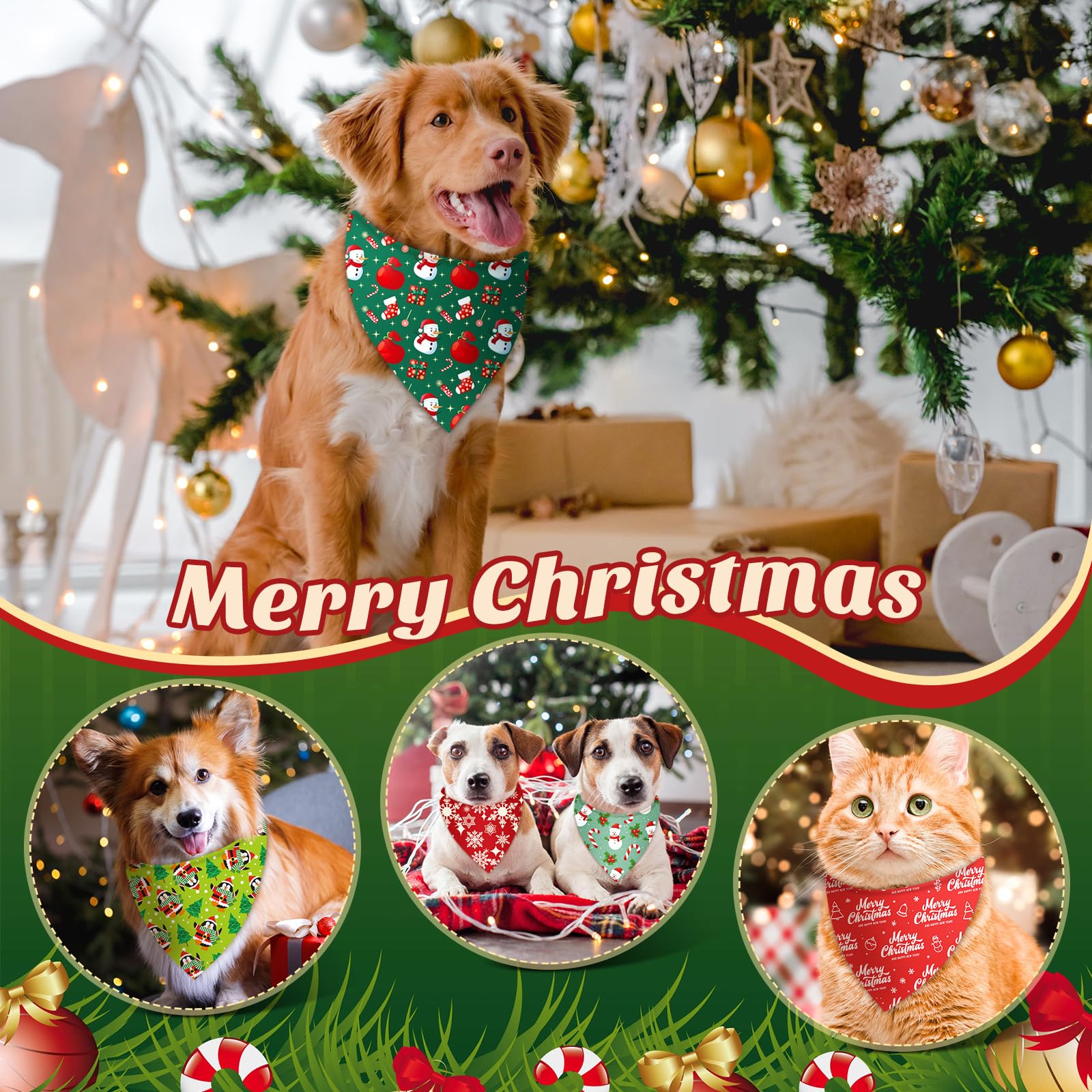Jeere dog photo-prop bandana enhances cheerful holiday photo sessions