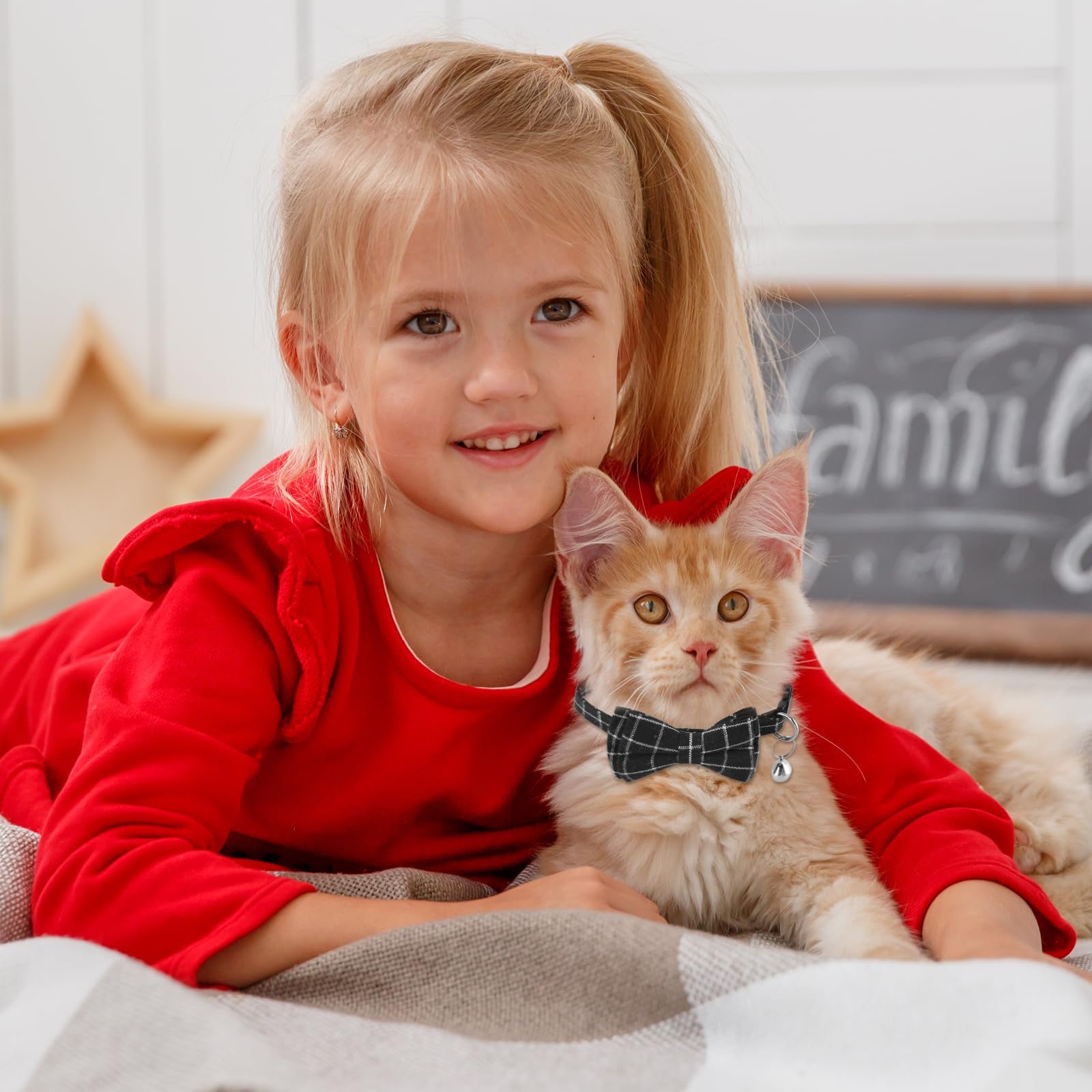 Jeffdad two-collar packaging emphasizes value and gift-ready set