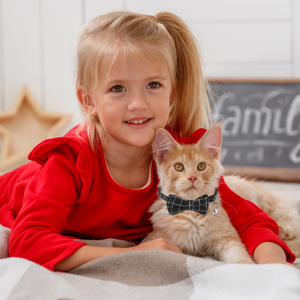 Jeffdad two-collar packaging emphasizes value and gift-ready set